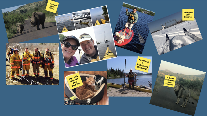 collection of photos: rhino, Helen Kayaking, paddle boarding, skiing; Helen in firefighter gear; dog and cat sleeping together; lion